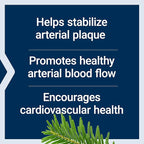 Life Extension Arterial Protect Blood Pressure Support with Gotu Kola & Pycnogenol Pine Bark Extracts Bundle with Super K Vitamin K1 K2 MK-7 MK-4 Vitamin C Bone & Arterial Health