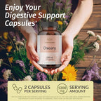 HERBAMAMA Chicory Root Fiber Capsules - 1200mg Chicory Root Powder for Gut Cleanse & Digestive Support - Vegan, Non-GMO Inulin Prebiotic Fiber Supplement