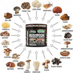 Organic Mushroom Supplement | Ashwagandha Lions Mane Cordyceps Turkey Tail Reishi Mushrooms Maca Root Black Hoof Chaga Tremella Agarikon Shiitake Oyster Powder Capsules Sporgenic By Clean Nutra (1)
