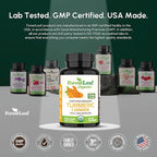 Turmeric Supplement Extra Strength 2265mg - Turmeric Curcumin Supplement w/BioPerine Black Pepper - Tumeric and Ginger Supplements, 95% Curcuminoids, Supports Immune & Joint Health, 120 Caps