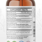 Saw Palmetto Tincture | Premium Alcohol-Free Herbal Extract from Saw Palmetto Berries | Liquid Botanical Supplement | Traditional Herbal Formula | Made in USA - 4 oz (120 ml)