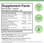 Methylated Multivitamin (Methylated and Activated Vitamins Only - Methylated B Complex with Trimethylglycine (TMG) and Methylfolate)(Non-GMO, Gluten Free MTHFR Supplement) 120 Capsules by Double Wood