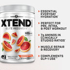 Xtend Original BCAA Powder, 7g BCAAs and 2.5g L-Glutamine for Muscle Recovery Hydration and Lean Muscle, Sugar Free Intra and Post Workout Drink with Electrolytes, Italian Blood Orange, 30 Servings