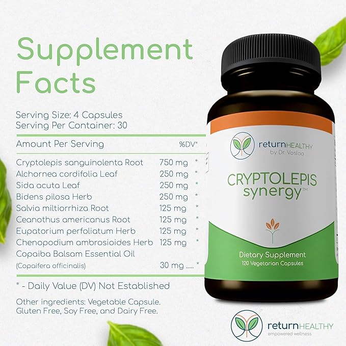Cryptolepis Synergy, Immune Support Vitamins, Immune System Booster for Adults, Liver, Lymphatic, & Immune Support Supplement, Supports Lyme & Natural Parasite Defense, 120 Capsules, 3 Pack