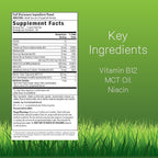 Irwin Naturals Mega B-Complex - 60 Liquid Softgels - Vitamin B Complex with Vitamin B12, Folate B9, Biotin B7, B1, B2, B3, B5, B6, and Quick Energy MCTs