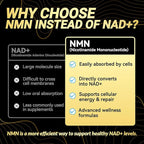 NMN 500MG Per Capsule – High Purity 99.9% NMN, NAD+ Support for Cellular Energy & Healthy Aging, 60 Capsules, Third-Party Tested, cGMP Made in USA