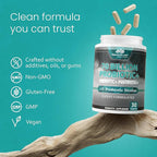 NaturaLife Labs Probiotics 70 Billion CFU – 15 Strains with Organic Prebiotic & Postbiotic – 3-in-1 Formula – 30 Vegan Capsules (2 Pack)