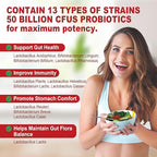 NEVISS Probiotic + Prebiotic Gummies for Adults & Kids 4+, Sugar Free Chewable 50 Billion CFUs w/Fiber, Vitamin B1 B2 D3 & Zinc, for Digestive & Gut Health, Boost Microflora Diversity, 60 Cts