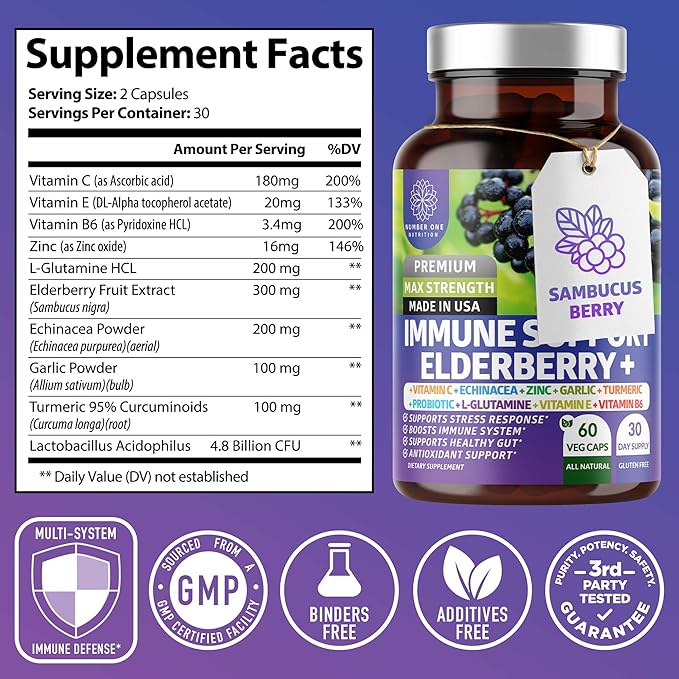 2-Pack N1N Premium 10-in-1 Immune Support Supplement [10 Potent Ingredients] with Elderberry, Vitamin C, Zinc, Echinacea, Turmeric Curcumin, Garlic and Probiotics for Adults, 120 Veg Caps