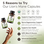 Longevity Botanicals Organic Lion's Mane Mushroom Capsules Supplement Extract 240ct | Hericium Erinaceus Fruiting Body | ≥20% Beta-D-Glucans | 80 Servings of 900mg | Supports Cognitive & Gut Wellness
