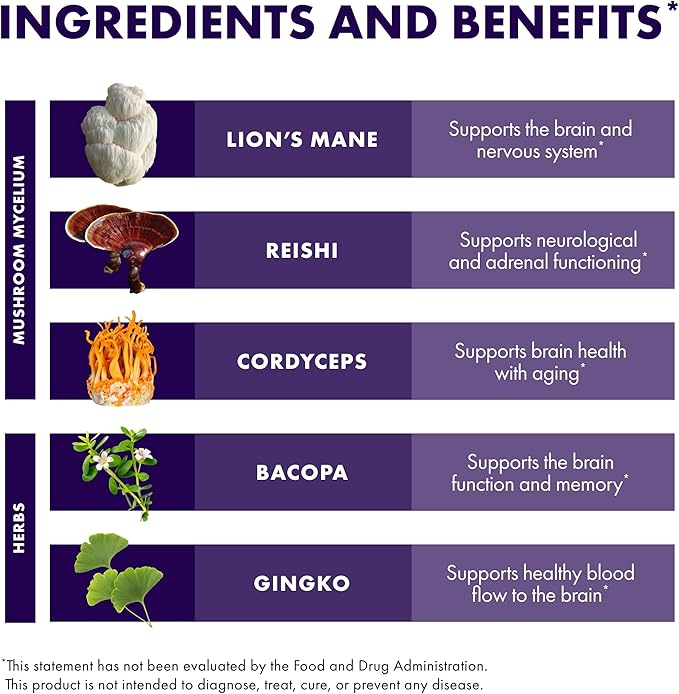 Host Defense MycoBotanicals Brain* Capsules - Brain Support Supplement with Lion's Mane, Reishi & Cordyceps Mushroom - Herbal Supplement for Memory & Focus Support - 60 Capsules