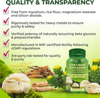 Organic Lion's Mane Supplement Capsules - Contains Naturally Occurring Beta Glucans & Polysaccharides, Enhanced with Organic Energy & Focus Support Blend: Cordyceps, Rhodiola Rosea, Ginseng, 120 Count