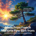 Kaire Super Maritime Prime 120 - Quick Release Tablets – 60mg Pycnogenol® French Maritime Pine Bark Extract Per Serving – Herbal Support Complex