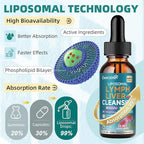 2 Pack Liposomal Lymphatic Drainage & Liver Cleanse Drops, 23-in-1 with Echinacea, NAC, TUDCA, L-Glutathione, for Lymph, Liver Detox & Repair, Immune Support, Raspberry Flavor, 4 fl oz Supplement