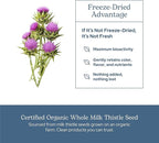 Eclectic Herb - Premium Freeze Dried Milk Thistle Capsules | Silymarin Supplement | Liver Support, Detox, Cleanse + Maintain | Vegan, Natural, Non-GMO, Gluten Free (120 CT | 600 mg)