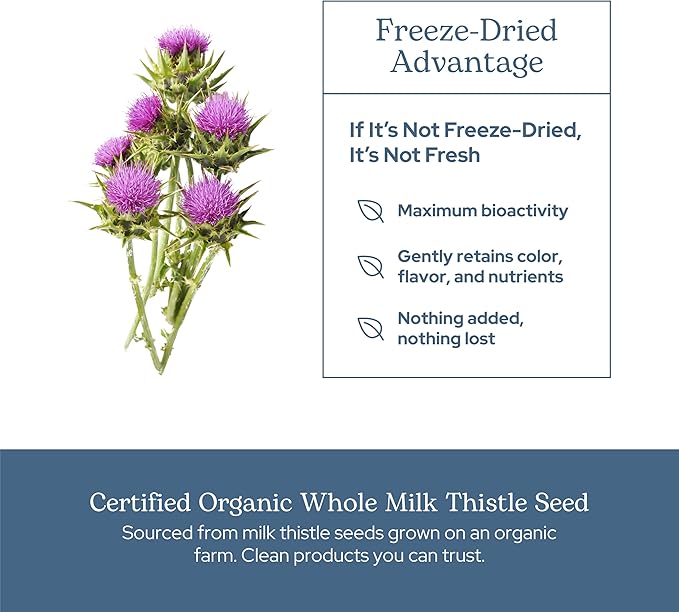 Eclectic Herb - Premium Freeze Dried Milk Thistle Capsules | Silymarin Supplement | Liver Support, Detox, Cleanse + Maintain | Vegan, Natural, Non-GMO, Gluten Free (240 CT | 600 mg)