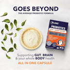 Bio360 Cognitive Support, 30 Vegan Supplements (30 Count (Pack of 1))