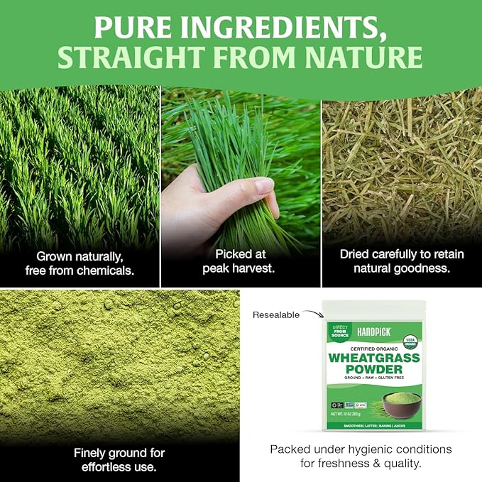 HANDPICK USDA Organic Wheatgrass Powder (10oz) Rich Green Powder - Lab Tested | 100% Whole Leaf | Gluten Free, Non-GMO | No Sugar, No Artificial Ingredients | Resealable Ziplock Pouch