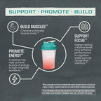 Creatine Monohydrate Powder Micronized PreWorkout Recovery Supplement | Support Muscle Building Strength Training Cognition | Vegan & Keto Friendly Easily Mixes (60 Serving) Unflavored Active Creatine