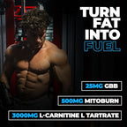 Huge Supplements Liquid L-Carnitine 3000, Superior Potency Infused with 500mg MitoBurn & 25mg GBB, Premium Stim-Free Thermogenic Fat Burner & Energy Boost, Convenient Pump Top, 32 Oz (60 Servings)