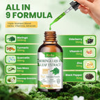 Moringa Leaf Extract Liquid Drops - Liquid Moringa Supplement 1000 mg with Turmeric, Quercetin, Elderberry, Sea Moss, Vitamin C & Zinc, for Energy Immune Antioxidant Digestive Support, 2 Fl Oz