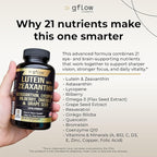 Lutein and Zeaxanthin Supplements - Advanced Eye Vitamins with Astaxanthin, Omega 3, Resveratrol, Bilberry, Lycopene, Quercetin, Ginkgo Biloba, Vitamin D | Health Vision | Made in USA