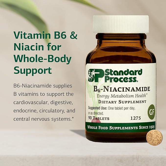 Standard Process B6-Niacinamide - Support Energy Metabolism & Heart Health - Aids Digestive & Blood Circulatory Systems - Gluten-Free, Non-Dairy & Non-Soy - 90 Tablets (90 Servings)