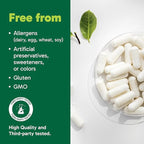 Organika Magnesium Bisglycinate 200 mg – 120 Vegetarian Capsules, Gentle on Stomach Magnesium Supplement to Support Healthy Muscle, Nerve & Bone Function