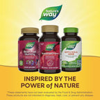 Nature’s Way Sustained Focus, Improved Focus & Concentration*, with Clinically Studied Neumentix Spearmint Extract, L-Theanine, 60 Capsules (Packaging May Vary)