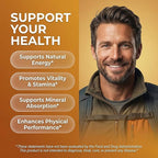 Clean Nutraceuticals Shilajit Liquid Drops with Sea Moss, Ashwagandha, Zinc, Magnesium, Liquid Vitamins for Women and Men - Terra Mineral