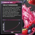 Nutrex Research L-Carnitine 3000 (31 Servings, Berry Blast) | Liquid Shots, Stimulant Free | Supports Muscle Recovery For Men and Women