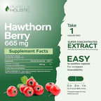 Purely Holistic Grape Seed Extract 400mg + Hawthorn Berry 665mg Bundle - 400 Vegan Capsules - Made in USA