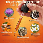 Turmeric Curcumin Complex Liquid Drops with Milk Thistle, Dandelion & Chamomile | High-Absorption Herbal Blend with Black Pepper & Ginger | Orange Flavor | 2 fl oz