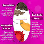 Losoki Ergothioneine Supplement – Ergo+ 2040 mg – with Spermidine, Astaxanthin & Black Truffle – Supports Firm, Hydrated Skin & Hair & Nails – Anti Aging Supplement- 30 Capsules