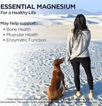KAL Magnesium Glycinate Tablets, Fully Chelated, High Absorption Formula with Magnesium Bisglycinate Chelate for Nerve, Muscle & Bone Health Support, Vegan, Gluten Free, Value Size, 240 Tablets