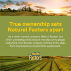 NATURAL FACTORS Milk Thistle Extract 250 Mg, 90 CT