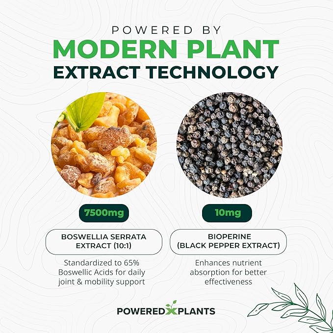 Boswellia Serrata Extract Joint Support Supplement by Powered by Plants – 65% High Potency Boswellic Acids with BioPerine – Supports Immunity, Mobility & Flexibility – 120 Vegan Capsules