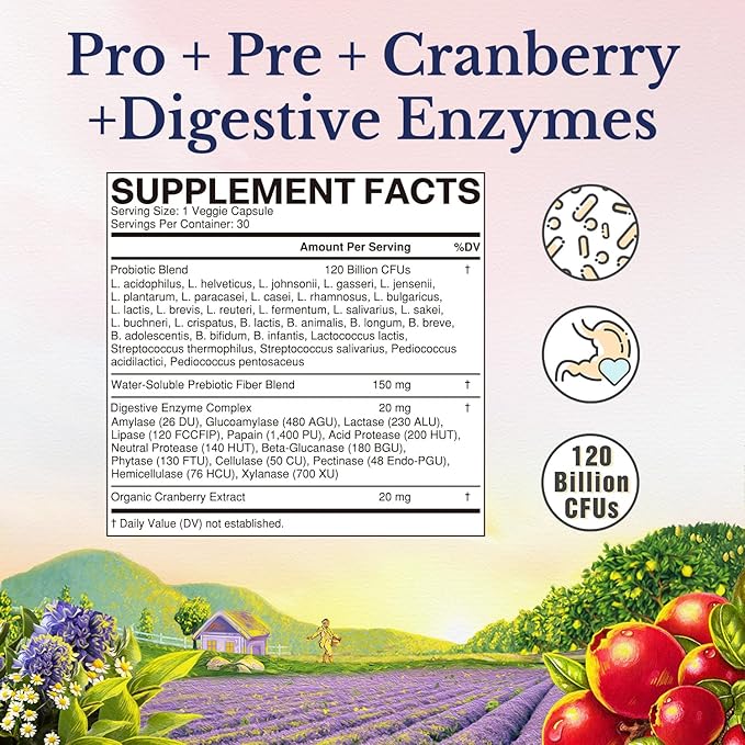 Vitalitown Probiotics for Women 120 Billion CFUs, 30 Strains, with Prebiotics & Digestive Enzymes & Cranberry, Gut & Vaginal Health, Vegan 60 (Pack of 2) Delayed Release Caps