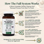 Age Renewal Complex - Cellular Renewal & Senescent Cell Removal Support - Fisetin, Quercetin, Curcumin, Zinc -Senolytic & Autophagy Aid Supplement - - Non-GMO, USA Made Glass Bottle