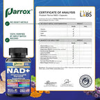 NAD+ Supplement with Liposomal NAD+, Nicotinamide Riboside, Magnesium, Vitamin B3 & B12, Resveratrol, Turmeric, Ashwagandha, Lion’s Mane,10-in-1 Extra Strength (3 Pack)