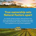 Natural Factors - Micronized L-Glutamine 1000mg, Support for Muscle Tissue & Immune System, 90 Vegetarian Capsules
