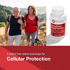 Protocol for Life Balance Magtein - 2,000mg Magnesium L-Threonate Magtein - Support Brain Focus & Memory Health - Kosher & Non-GMO - 90 Veg Capsules