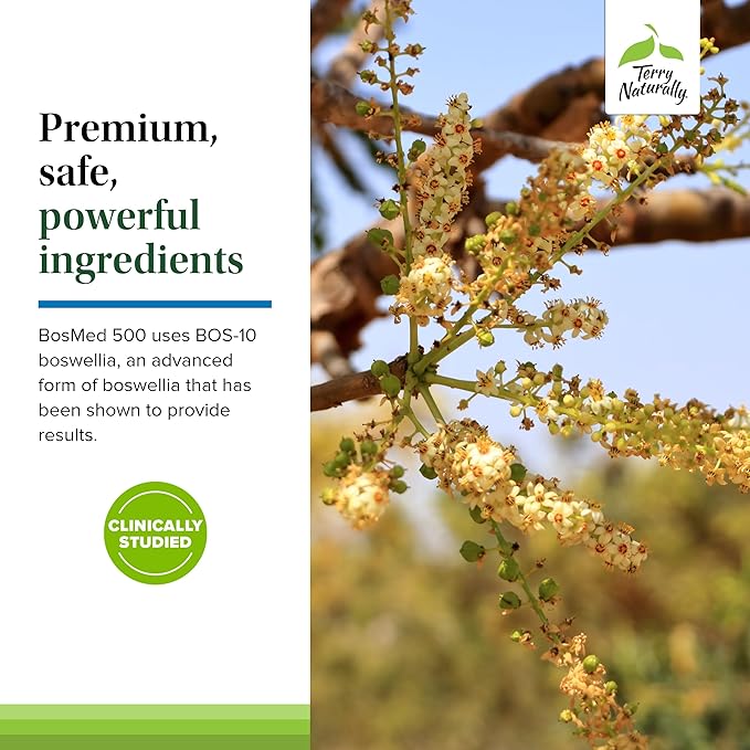 Terry Naturally BosMed 500 Extra Strength - Boswellia Serrata Extract Supplement - Supplement for Healthy Lung Support - Herbal Supplement Formula with High Levels of AKBA - 120 Softgels