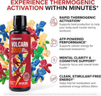 InnoSupps Volcarn 2000 - L-CARNITINE Advanced Energy Liquid | ATP Enhancer with GBEEC | Boosts Energy, Enhances Focus, Caffeine Free, No Artificial Sweeteners | 32 Servings (Sour Kids Candy)