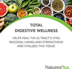 NaturesPlus GI Natural Total Digestive Wellness - 90 Bi-Layered Tablets - with L-Glutamine, Probiotics, Prebiotics & Enzymes - Gluten Free - 30 Servings