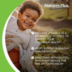 NaturesPlus Animal Parade Sugar-Free Children's Vitamin C, Natural Orange Juice Flavor - 90 Chewable Animal Shaped Tablets - Immune Support - Gluten Free - 45 Servings