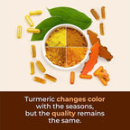 Turmeric Curcumin Supplement with Black Pepper Extract - High Potency Organic Turmeric 1200mg & 95% Curcuminoids for Joint & Digestive Health - Joint Support Supplement - 120 Vegan Curcuma Capsules