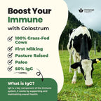 Immerge Health Super Colostrum Powder (60 Servings) – Premium Bovine Colostrum Supplement for Gut Health, Bloating & Immune Support – High IgG, 100% Grass Fed First Milking, Unflavored, Made in USA
