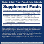 BodyHealth PerfectAmino - BCAA and EAA Powder for Pre and Post Workout - Amino Acid Energy Drink for Men and Women to Support Lean Muscle and Recovery - Lemon Lime - 20 Servings