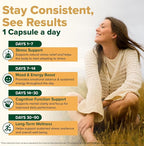 VAHDAM KSM -66 Ashwagandha 625 mg with Ginger & Piperine, Support Stress Relief (120 Capsules)